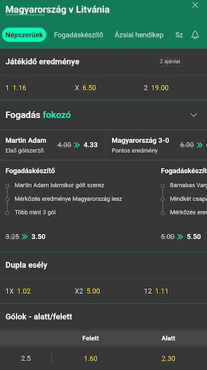 Magyarország-Litvánia Európa-bajnoki selejtező
